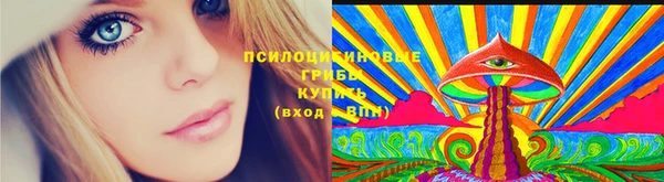 соль ск Бугульма