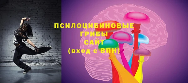 соль ск Бугульма