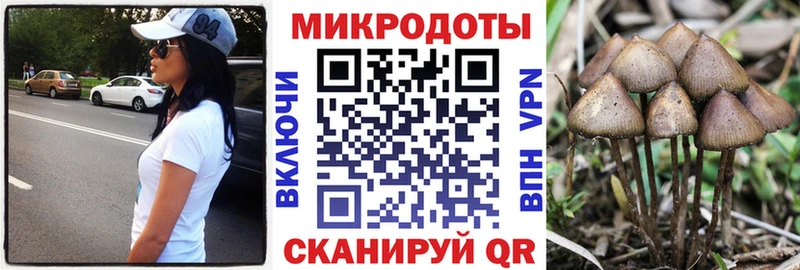 omg зеркало  Северская  Галлюциногенные грибы Cubensis 